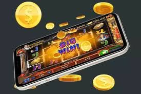 5win bet